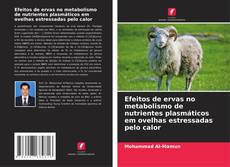 Обложка Efeitos de ervas no metabolismo de nutrientes plasmáticos em ovelhas estressadas pelo calor