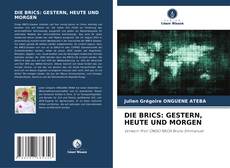 Bookcover of DIE BRICS: GESTERN, HEUTE UND MORGEN