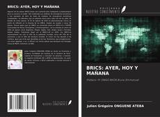 Buchcover von BRICS: AYER, HOY Y MAÑANA