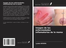 Imagen de las enfermedades inflamatorias de la mama kitap kapağı