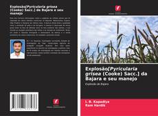 Explosão[Pyricularia grisea (Cooke) Sacc.] da Bajara e seu manejo的封面