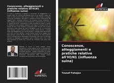 Buchcover von Conoscenze, atteggiamenti e pratiche relative all'H1N1 (influenza suina)