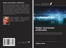 Copertina di Redes neuronales artificiales