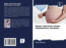 Вирус краснухи среди беременных женщин kitap kapağı