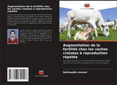 Bookcover of Augmentation de la fertilité chez les vaches croisées à reproduction répétée