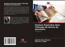 Bookcover of Analyse financière dans l'élevage de bovins de boucherie