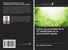 Buchcover von Índice de gravedad de la TC modificado en la pancreatitis aguda