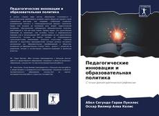 Bookcover of Педагогические инновации и образовательная политика