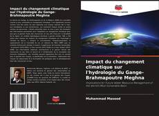 Impact du changement climatique sur l'hydrologie du Gange-Brahmapoutre Meghna kitap kapağı