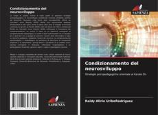Buchcover von Condizionamento del neurosviluppo