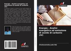 Energia - Analisi exergetica ed emissione di ossido di carbonio (IV) kitap kapağı