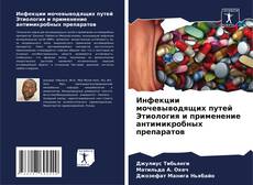 Capa do livro de Инфекции мочевыводящих путей Этиология и применение антимикробных препаратов 