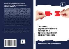 Системы управленческого контроля и организационная эффективность kitap kapağı