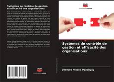 Copertina di Systèmes de contrôle de gestion et efficacité des organisations