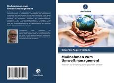 Bookcover of Maßnahmen zum Umweltmanagement