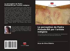 Portada del libro de La perception de Pedra Pintada/RR par l'artiste indigène