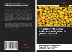 Copertina di Irrigation with saline water and potassium in guava rootstock