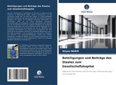 Bookcover of Beteiligungen und Beiträge des Staates zum Gesellschaftskapital