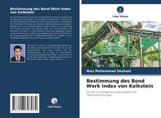 Bookcover of Bestimmung des Bond Work Index von Kalkstein