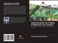 Copertina di Détermination de l'indice d'adhérence du calcaire