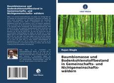 Portada del libro de Baumbiomasse und Bodenkohlenstoffbestand in Gemeinschafts- und Nichtgemeinschafts- wäldern