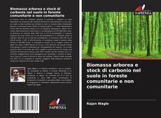Biomassa arborea e stock di carbonio nel suolo in foreste comunitarie e non comunitarie kitap kapağı