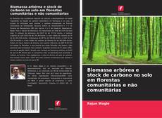 Borítókép a  Biomassa arbórea e stock de carbono no solo em florestas comunitárias e não comunitárias - hoz