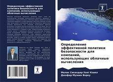 Определение эффективной политики безопасности для компаний, использующих облачные вычисления kitap kapağı