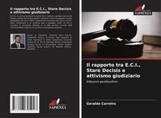 Il rapporto tra E.C.I., Stare Decisis e attivismo giudiziario kitap kapağı