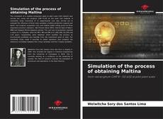 Copertina di Simulation of the process of obtaining Maltina