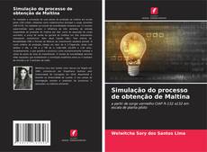 Bookcover of Simulação do processo de obtenção de Maltina