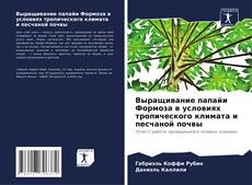 Copertina di Выращивание папайи Формоза в условиях тропического климата и песчаной почвы