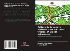 Copertina di Culture de la papaye Formosa dans un climat tropical et un sol sablonneux