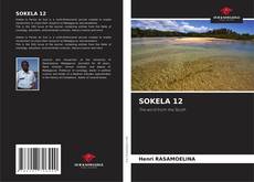 Portada del libro de SOKELA 12