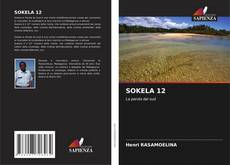 SOKELA 12 kitap kapağı