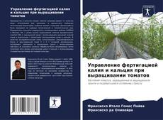 Borítókép a  Управление фертигацией калия и кальция при выращивании томатов - hoz