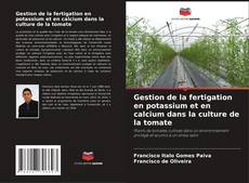 Copertina di Gestion de la fertigation en potassium et en calcium dans la culture de la tomate