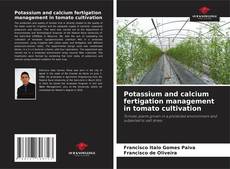 Copertina di Potassium and calcium fertigation management in tomato cultivation