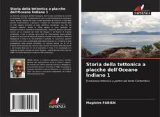 Storia della tettonica a placche dell'Oceano Indiano 1 kitap kapağı