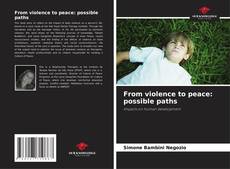From violence to peace: possible paths kitap kapağı