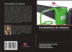 Copertina di Fermentation de l'éthanol