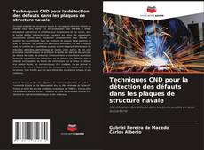 Copertina di Techniques CND pour la détection des défauts dans les plaques de structure navale