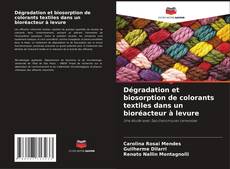 Copertina di Dégradation et biosorption de colorants textiles dans un bioréacteur à levure