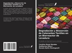 Copertina di Degradación y Biosorción de Colorantes Textiles en un Biorreactor de Levadura