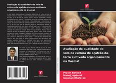 Обложка Avaliação da qualidade do solo da cultura de açafrão-da-terra cultivada organicamente na Vasmat