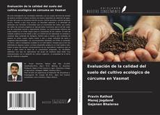 Copertina di Evaluación de la calidad del suelo del cultivo ecológico de cúrcuma en Vasmat