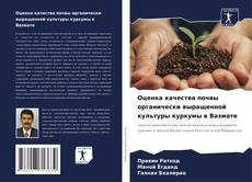 Borítókép a  Оценка качества почвы органически выращенной культуры куркумы в Вазмате - hoz