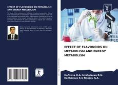 Bookcover of EFFECT OF FLAVONOIDS ON METABOLISM AND ENERGY METABOLISM