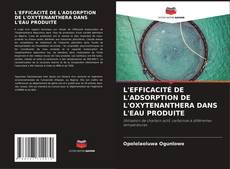 Copertina di L'EFFICACITÉ DE L'ADSORPTION DE L'OXYTENANTHERA DANS L'EAU PRODUITE