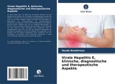 Portada del libro de Virale Hepatitis E, klinische, diagnostische und therapeutische Aspekte